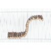 Visutý most z vrbových větviček pro hlodavce, upevnění šroubem, 30 x7cm – DOPRODEJ