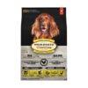 OBT Adult DOG Chicken All Breeds 5,67 kg